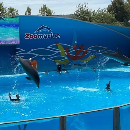 아파트 - Lote 6 T1 알부페이라